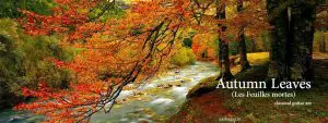 Autumn Leaves xashayar.ir